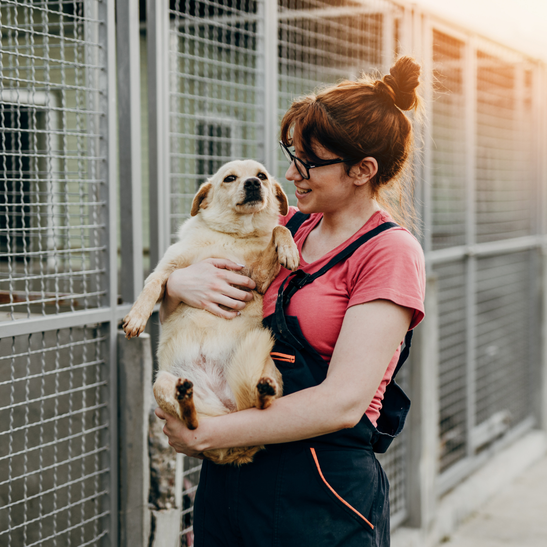 Transformar el Canil Municipal en un Centro de Rescate y Adopción