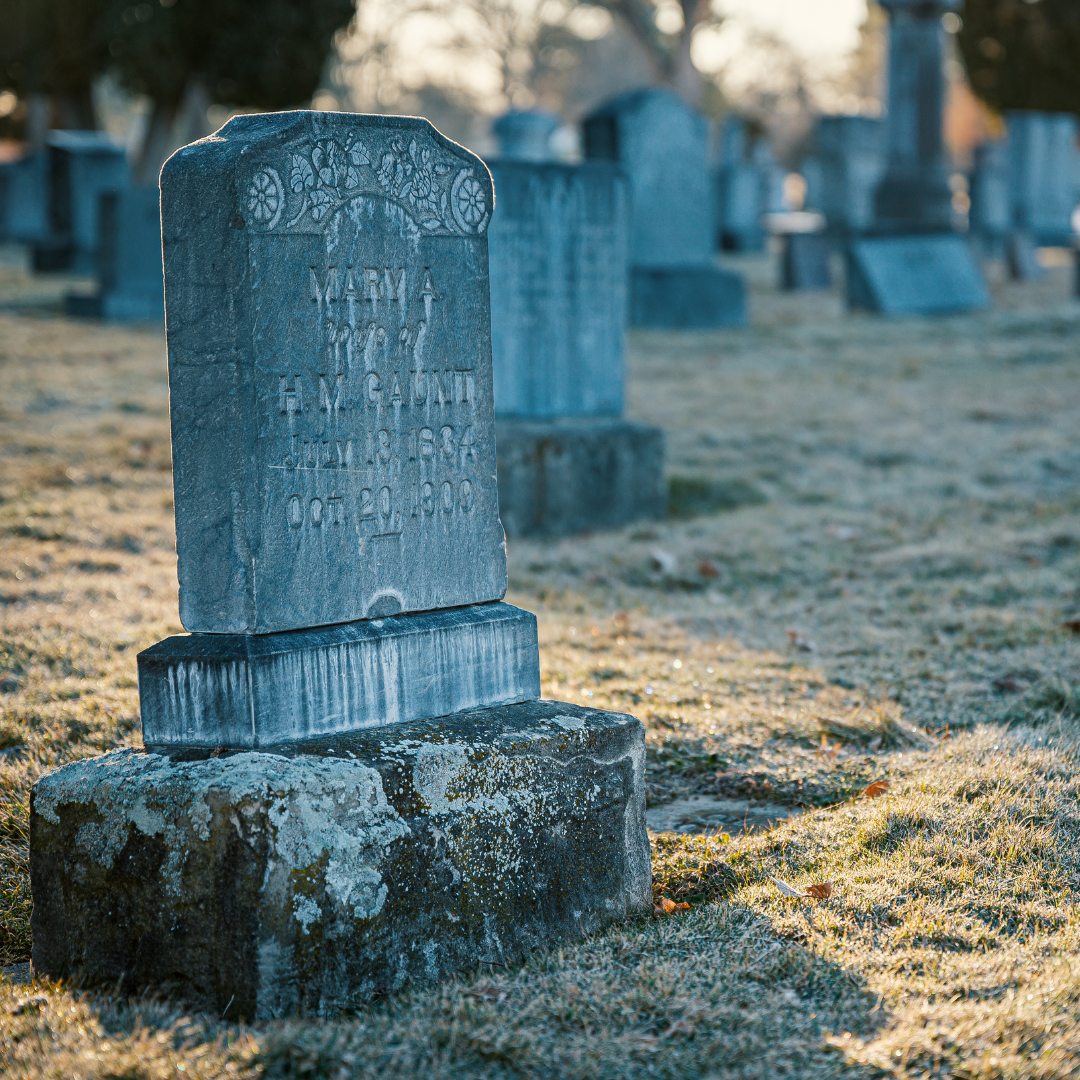 Cementerio de Mascotas